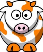 Project Orange Cow